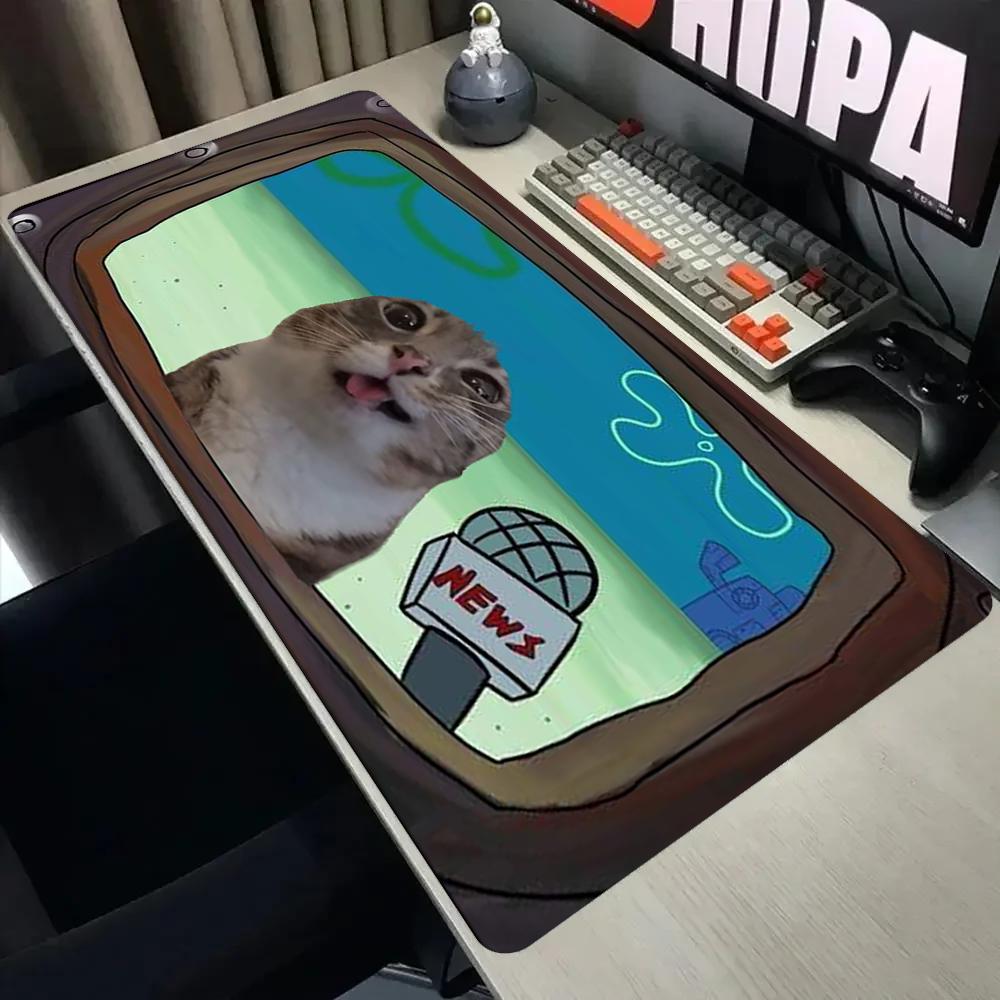 Pc Gaming News - Komik Muhabir Kedi Meme Büyük Oyun